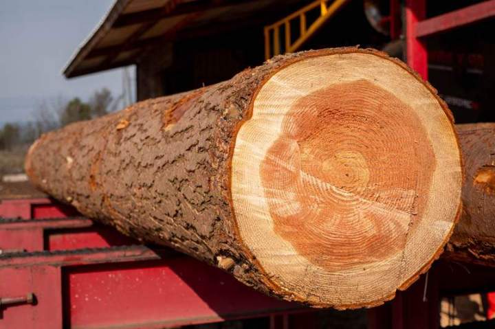 Bois à raboter Lablachère