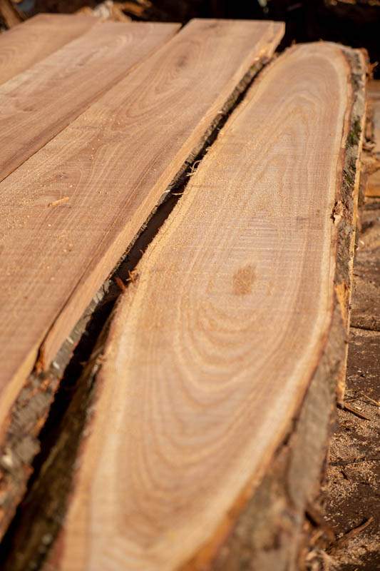 Rabotage planches Lablachère