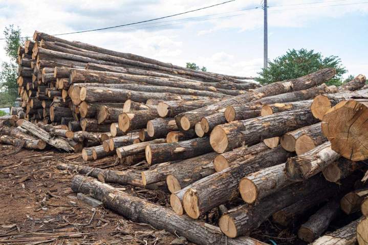 Vente de bois de construction Lablachère